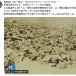 長崎県教育委員会にだまされないように：南京大虐殺の犠牲者の写真は、実は関東大震災の日本人被災者の写真