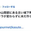 長崎にはない「江戸時代のカステラ」が食べられる場所（九州内ではありません）