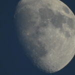 小笠原(おがさわら)諸島に行ってきました 3