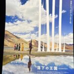 #行ってきました　映画「落下の王国」The Fall