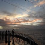 小笠原(おがさわら)諸島に行ってきました 2