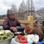 背伸びしない本当の中国経済