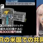 やっぱり左翼はだめですね。人の命より主義(イデオロギー)優先。証明されました。