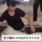 こんな国に修学旅行させてきた長崎県教育委員会？